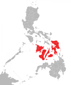 visayas